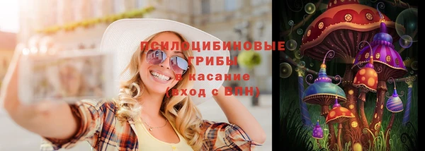 ешки Бородино