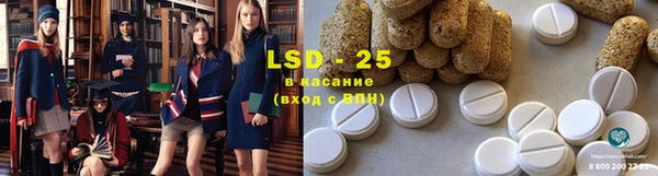 ешки Бородино