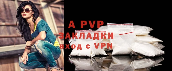 сатива Бронницы
