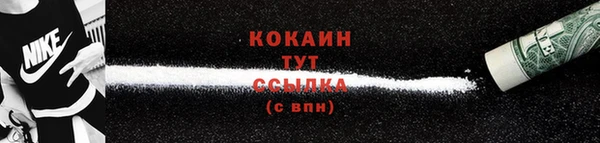 ешки Бородино
