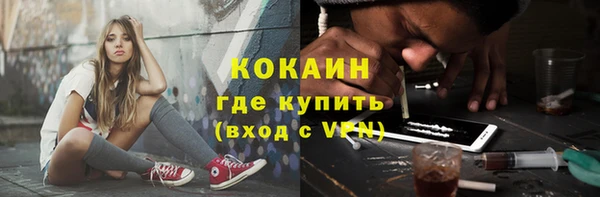 сатива Бронницы