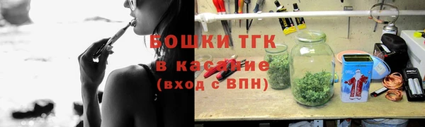 ешки Бородино