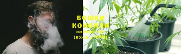 шишки Бугульма