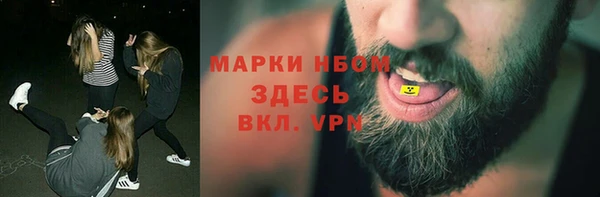 сатива Бронницы