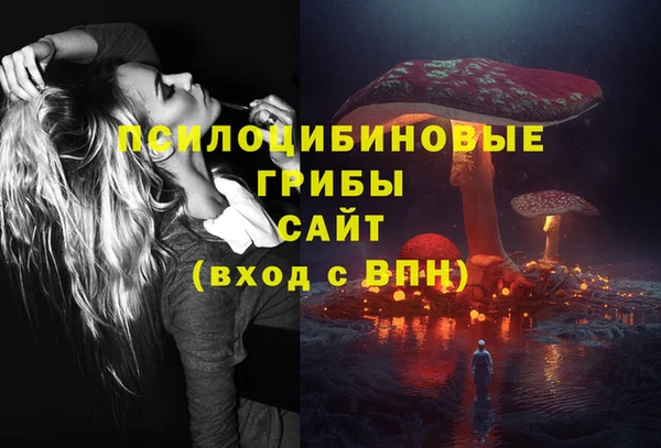шишки Бугульма