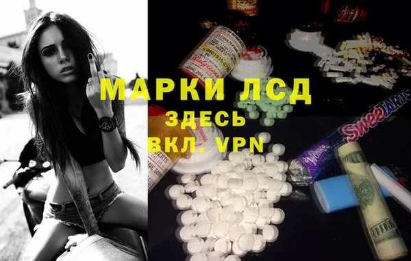 ешки Бородино