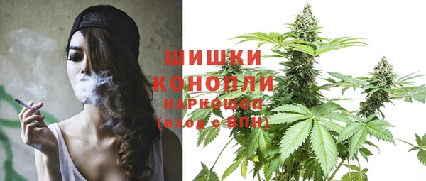 ешки Бородино