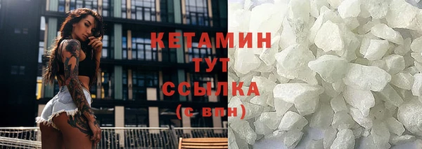 сатива Бронницы
